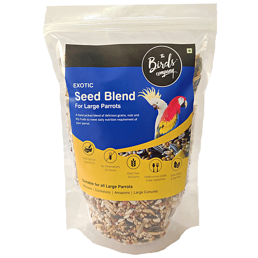 Portal Cool Seeds Package: Alcea Rosea Nigra Hollyhawk 10 Seeds :  : Grocery & Gourmet Food