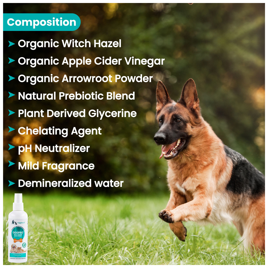 Witch hazel deals dog spray