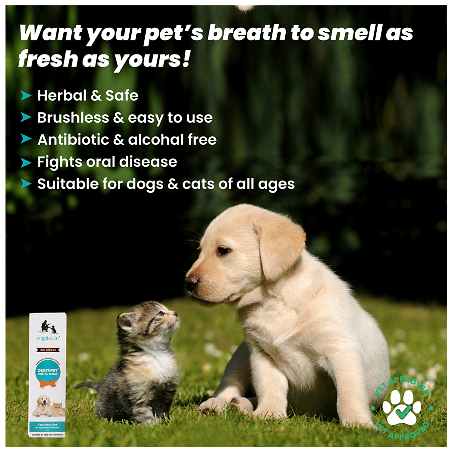 is fresh breath for dogs safe