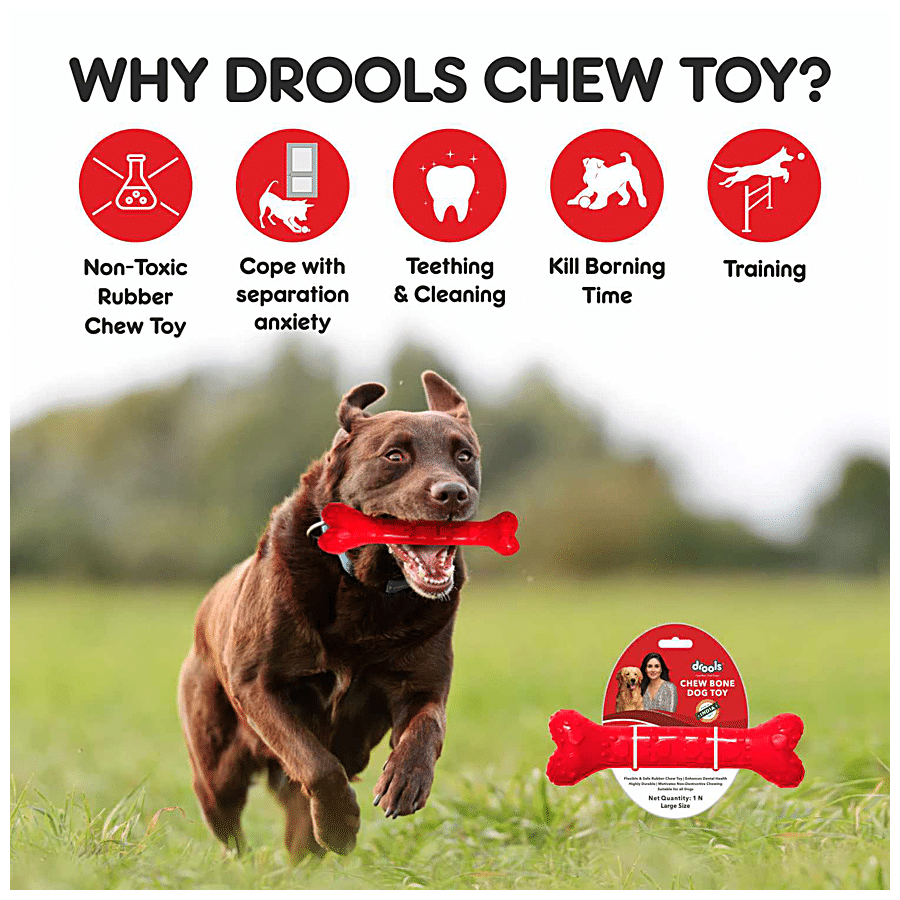 Bone Dog Toy | Chewy Checker