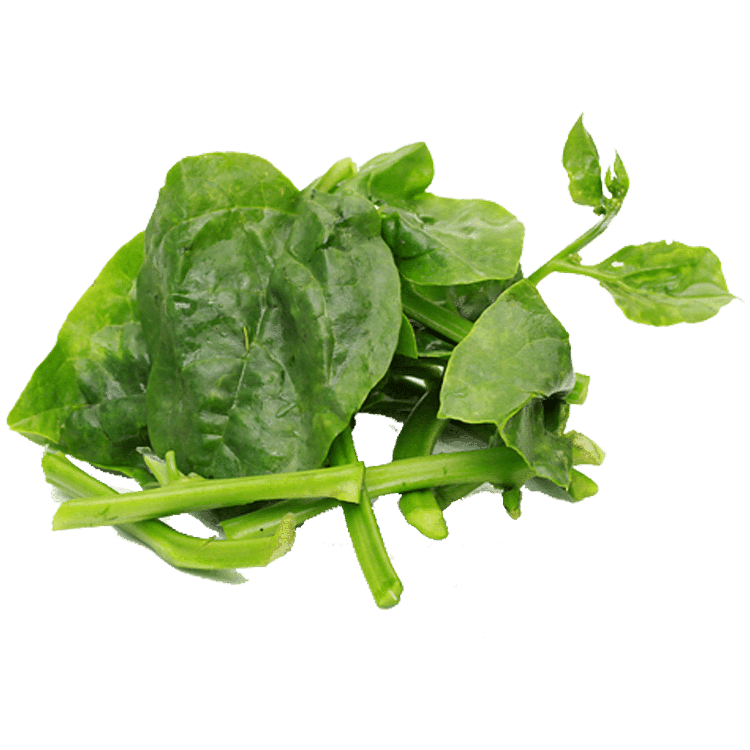 Buy Fresho Basale Leaf Online at Best Price of Rs 31.51 bigbasket