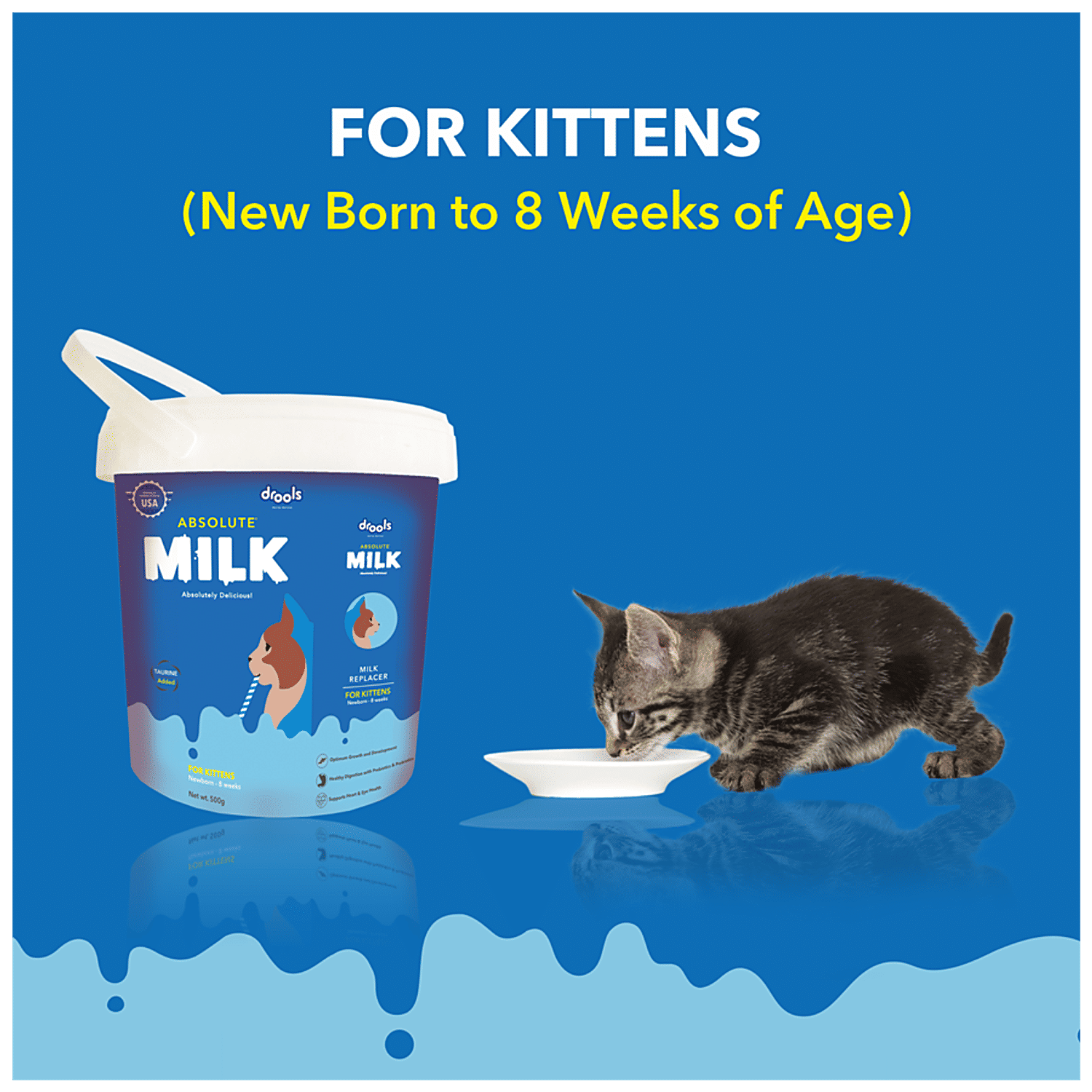 Condensed milk for on sale kittens