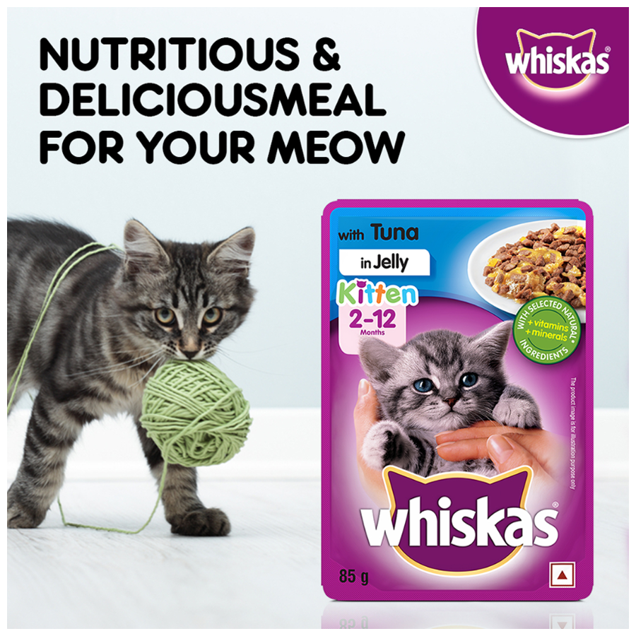 whiskas tuna in jelly kitten