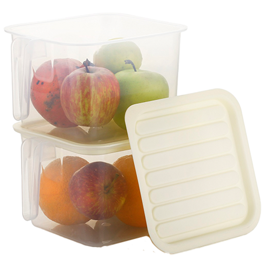 Floraware Airtight Kitchen Fridge Organizer Storage Box With Lid & Handle -  Durable, 5 L