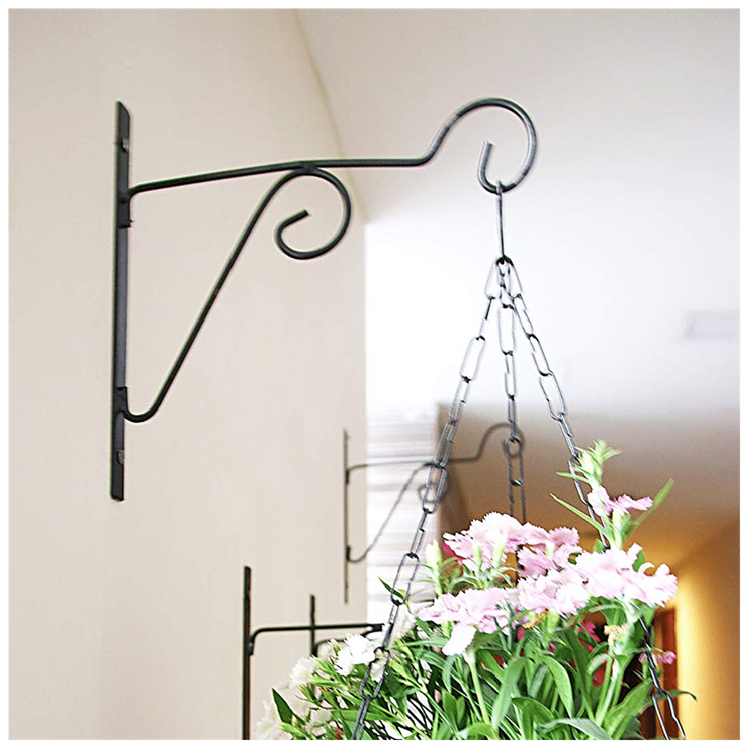 Metal Plant Hanger With Hanging Hooks - Wall Mounted Brackets at best price  in Gautam Budh Nagar