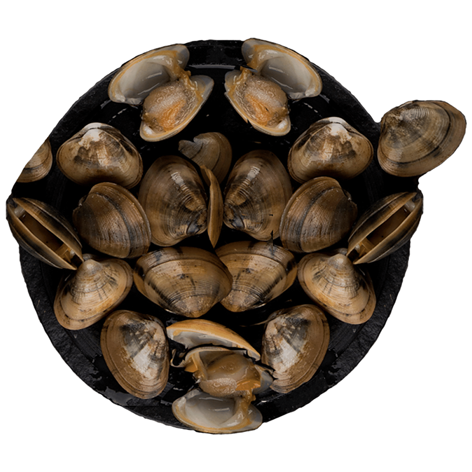 Buy Freshpick Clams Full Shell Rich Source Of Vitamin B12