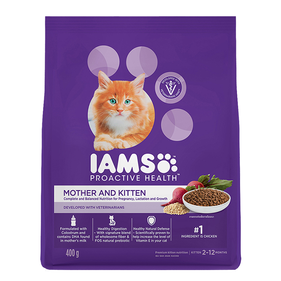 Buy IAMS Proactive Health Mother Kitten Dry Premium Cat Food