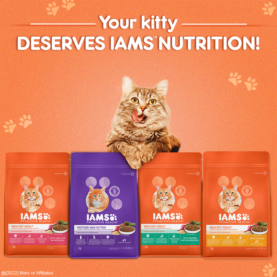 Buy IAMS Proactive Health Healthy Adult Dry Premium Cat Food