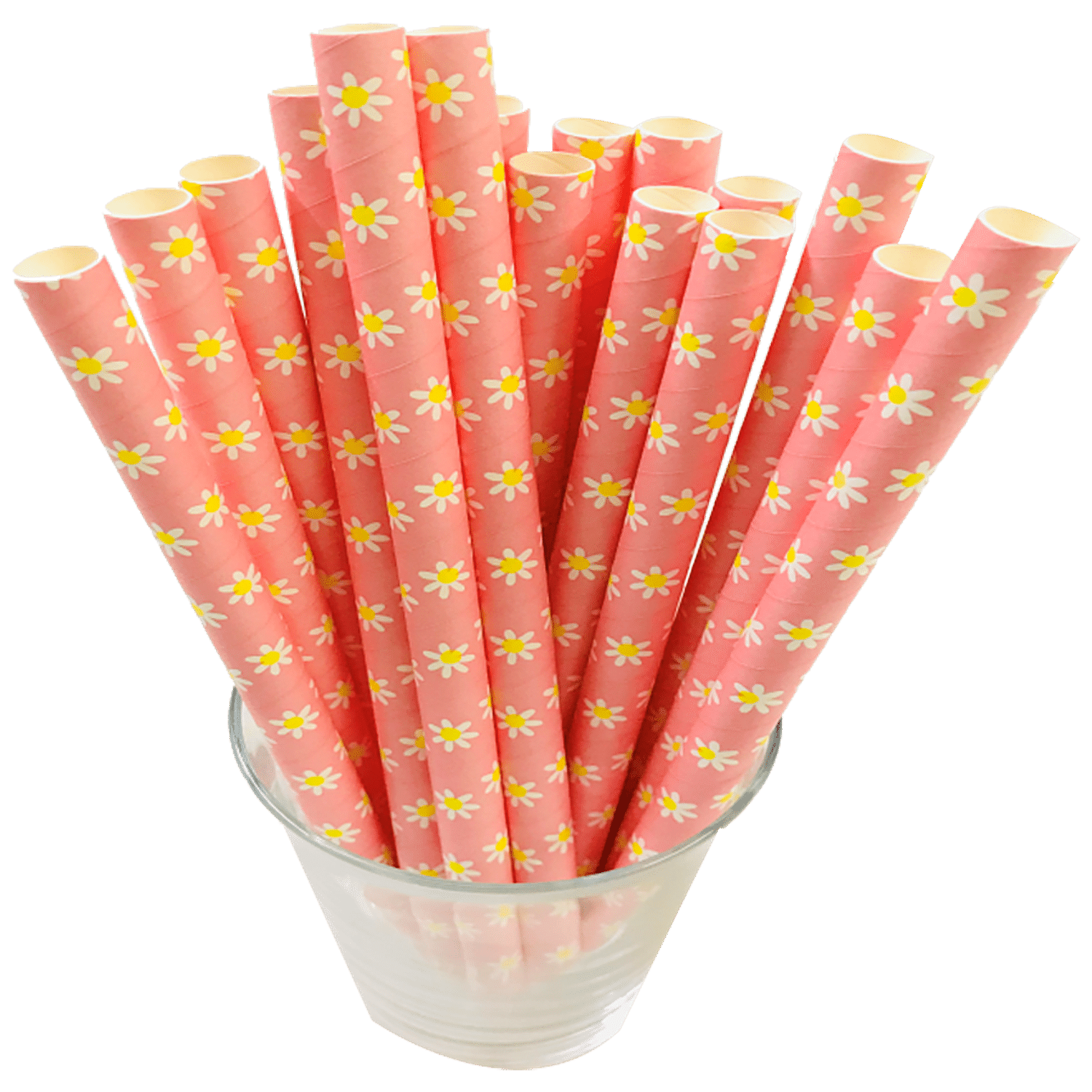 10 mm x 197 mm Straw - 50 Pack