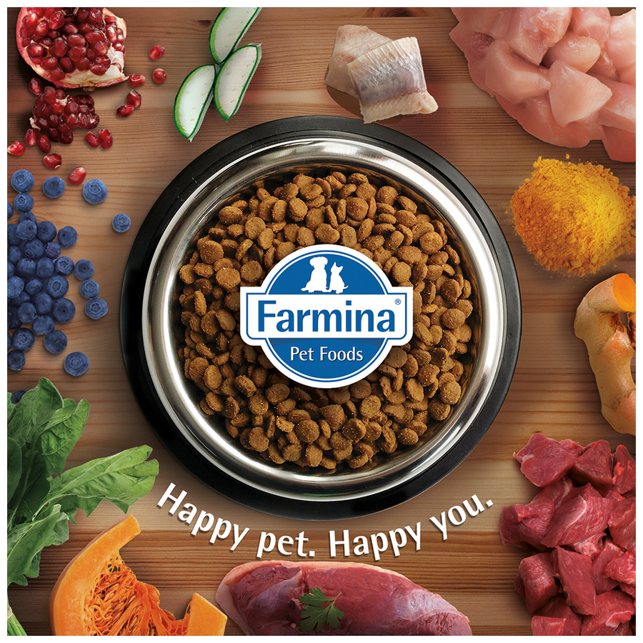 farmina dog food pumpkin lamb and blueberry