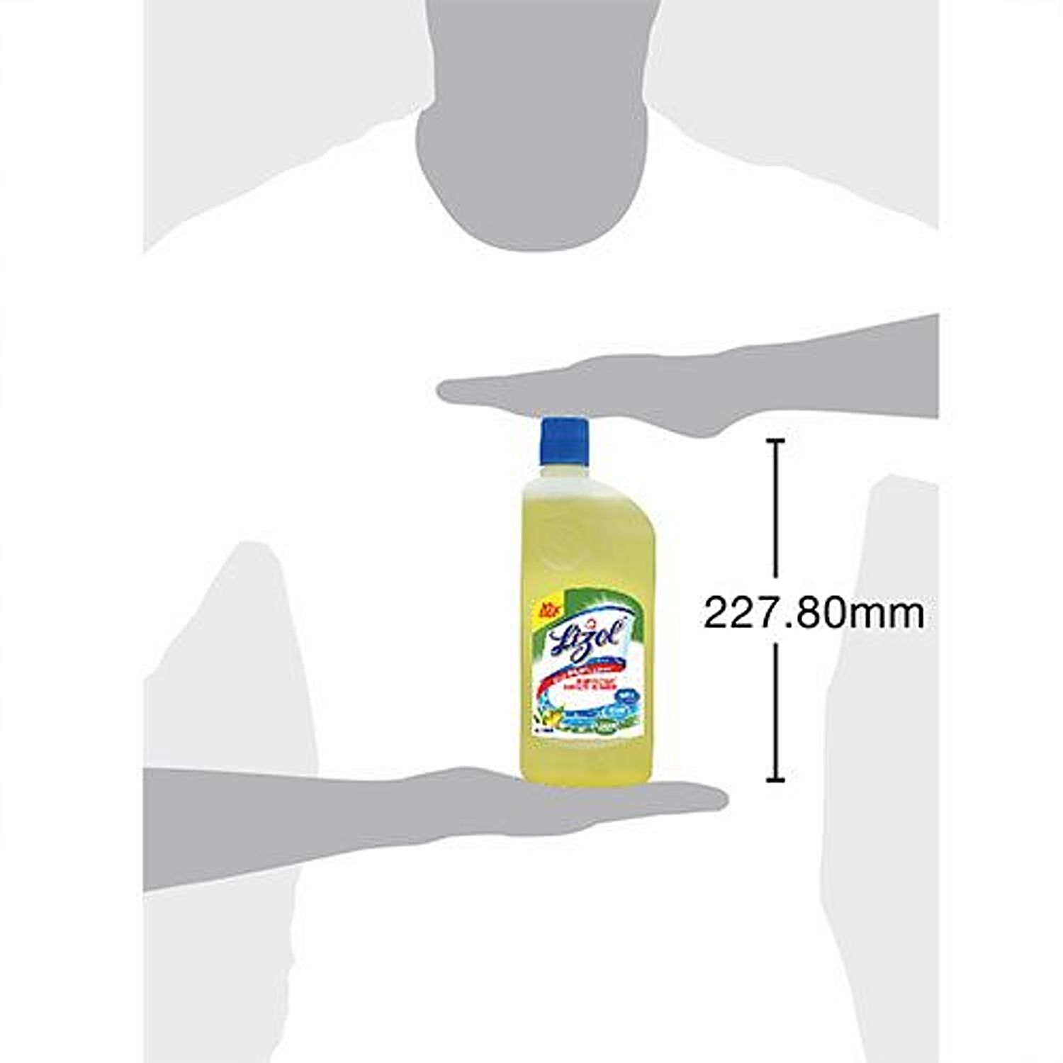 Buy Lizol Disinfectant Floor Cleaner, Citrus 975 ml + Kitchen Power Cleaner  Liquid Spray 450 ml Online at Best Price of Rs 299.19 - bigbasket