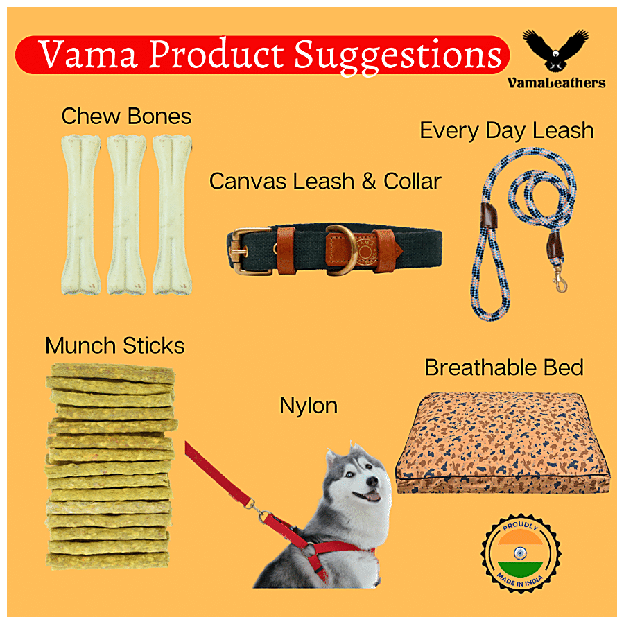 Buy Vama Leathers British Style Slip Leash I Heavy Duty Nylon Rope I  Adjustable Stopper I 5 Feet I Black Online at Best Prices in India -  JioMart.