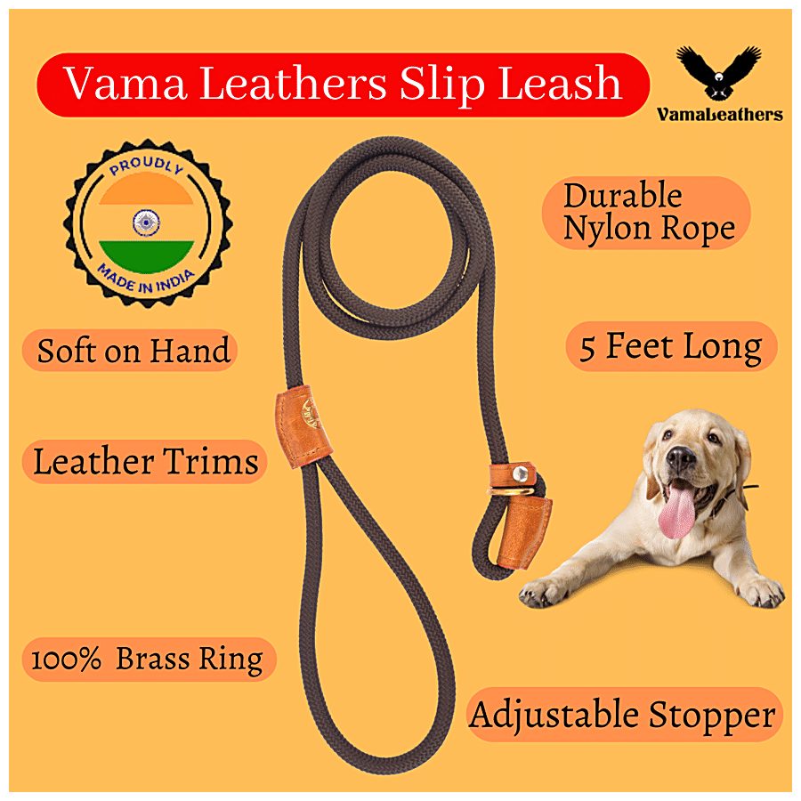 Strong Leathers for Strong Dogs – Vama Leathers