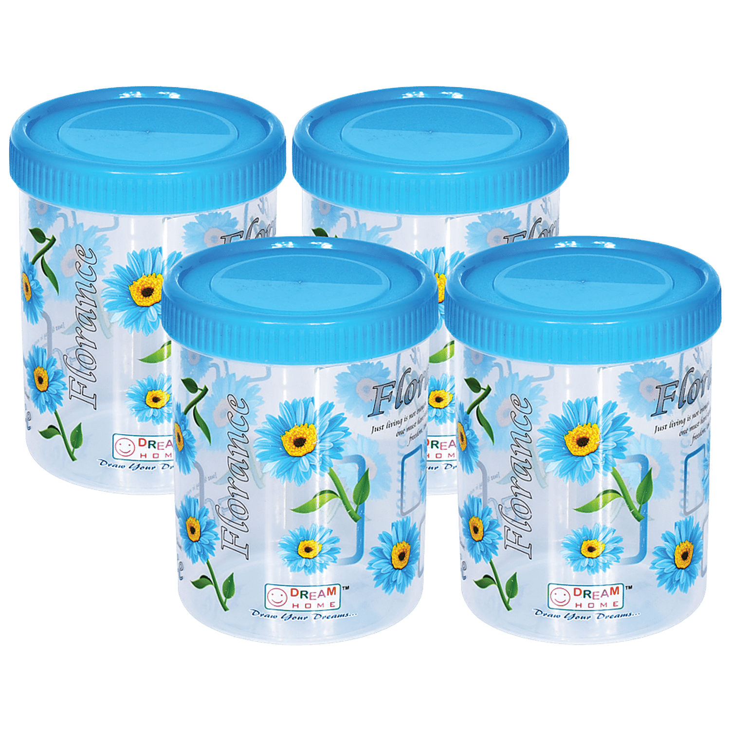 https://www.bigbasket.com/media/uploads/p/xxl/40287886_1-dream-home-kitchen-storage-containers-plastic-blue-printed.jpg