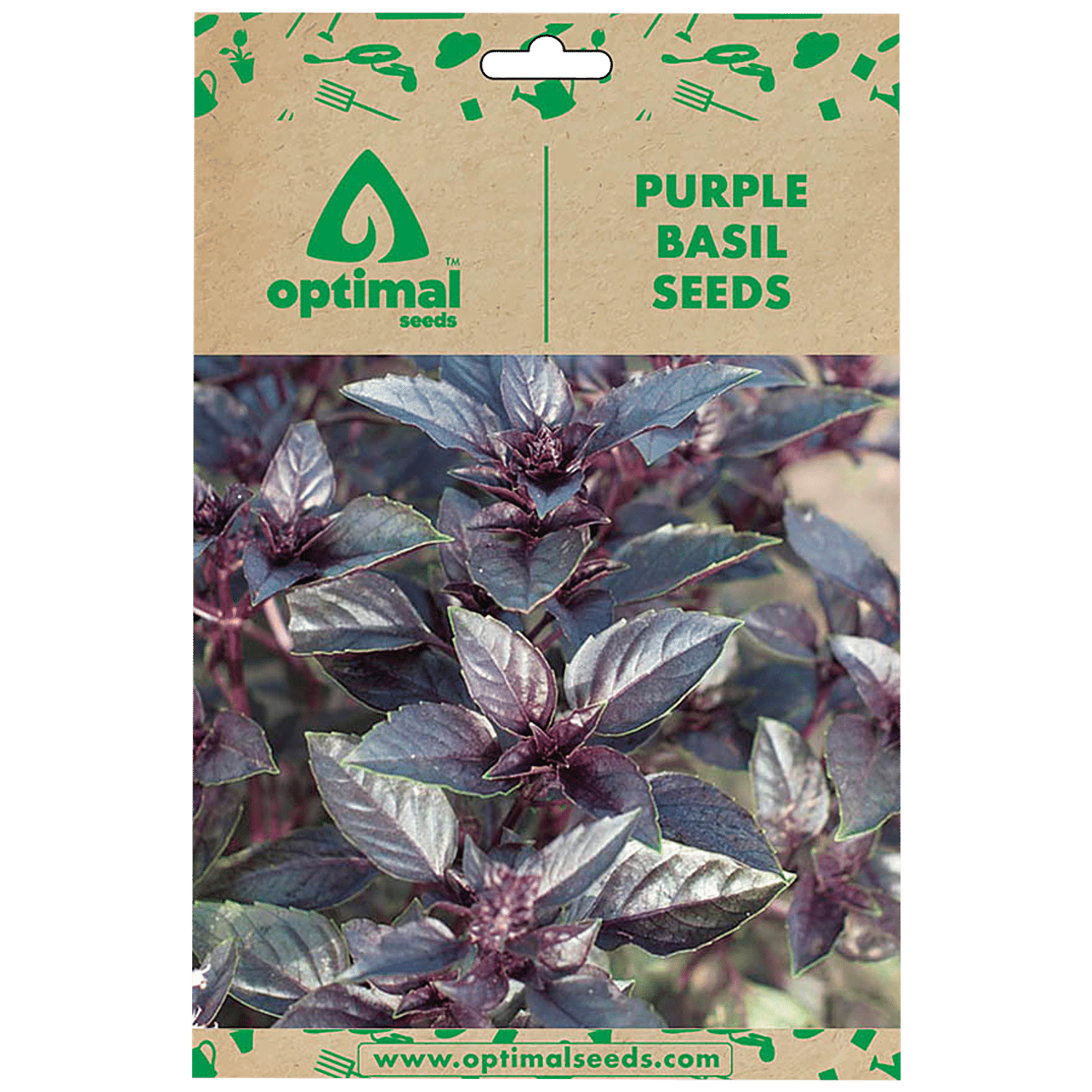 Buy Optimal Seeds Purple Basil Herb Seeds Online at Best Price of