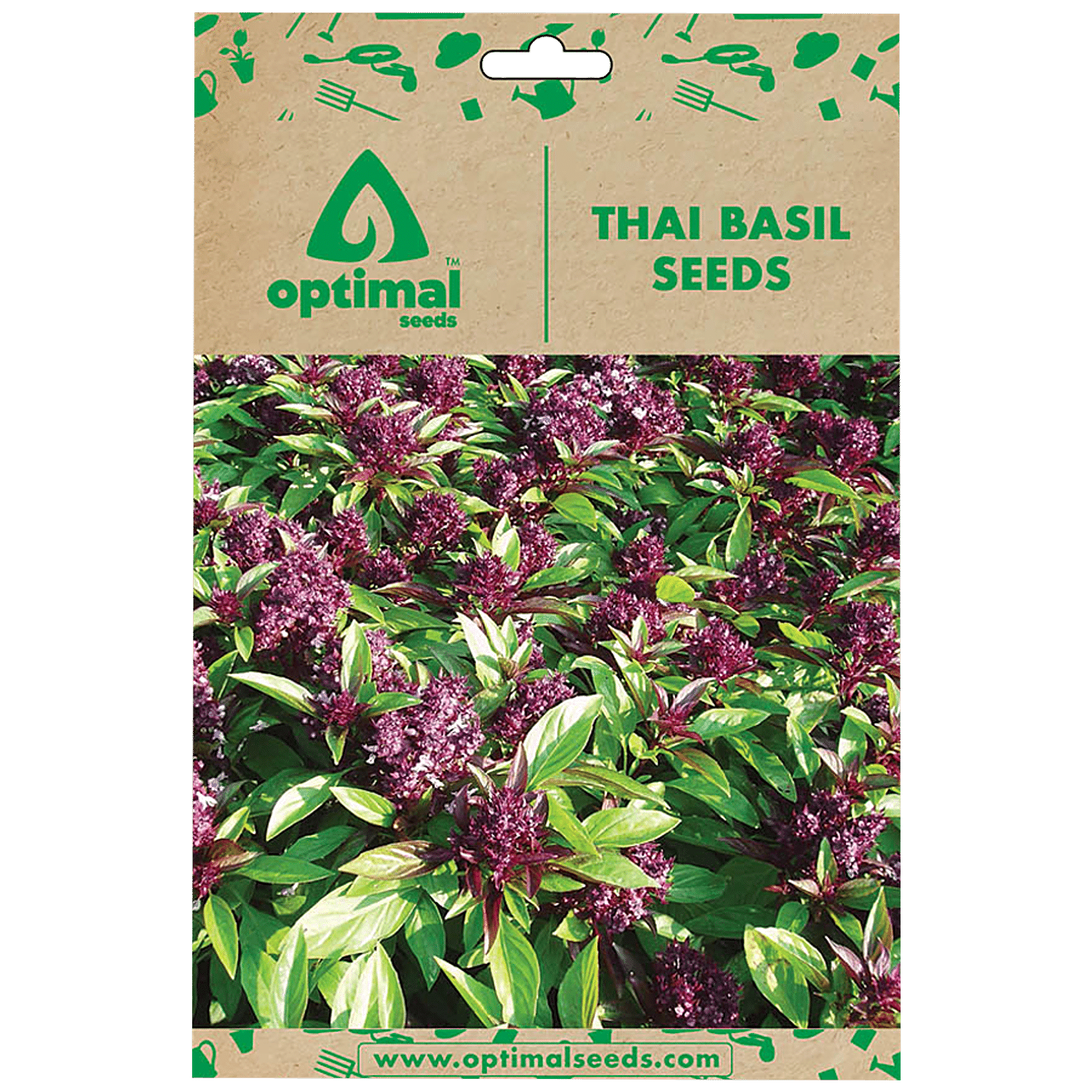 Buy Optimal Seeds Thai Basil Herb Seeds Online at Best Price of Rs