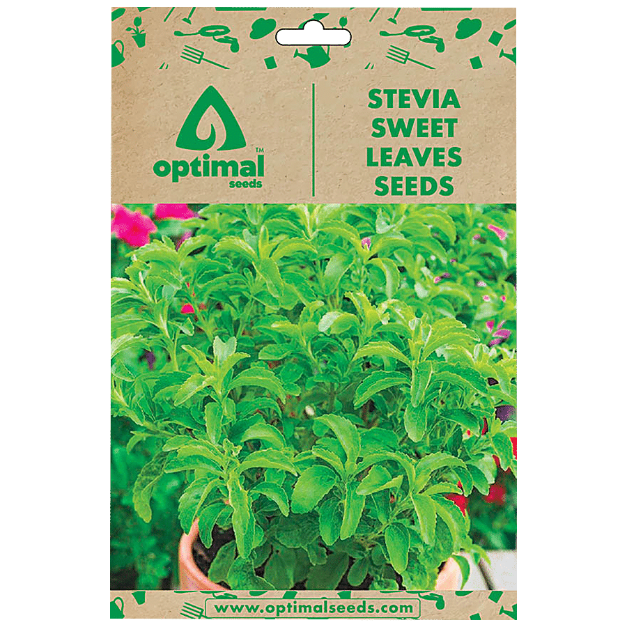 Stevia Seeds - Sweet Herb