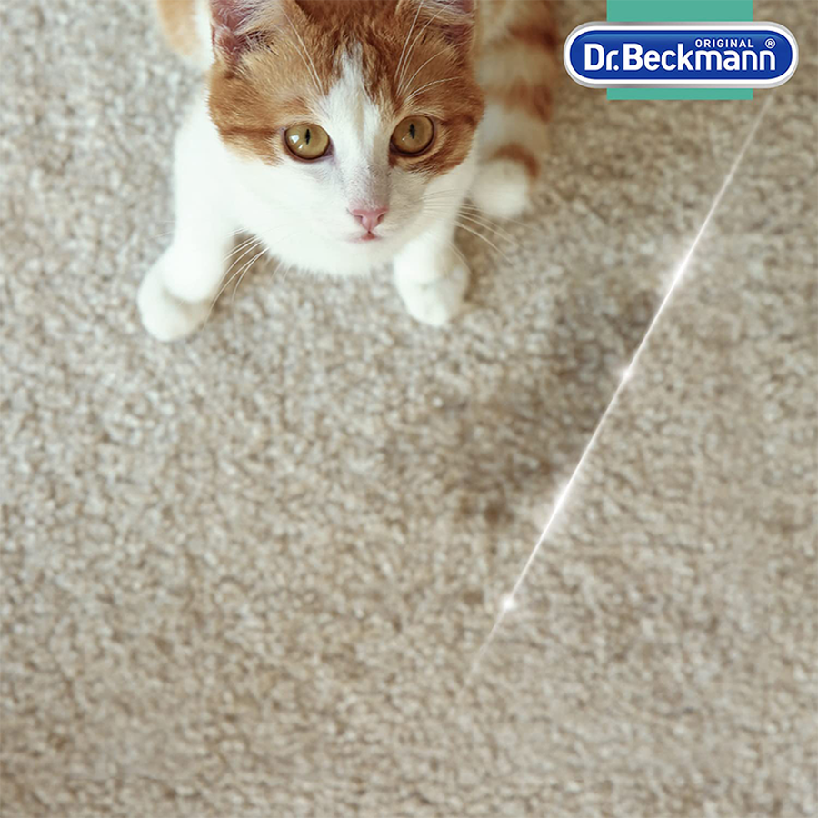 https://www.bigbasket.com/media/uploads/p/xxl/40296028-4_1-dr-beckmann-pet-stain-odour-remover-eliminates-urine-vomit-faeces.jpg