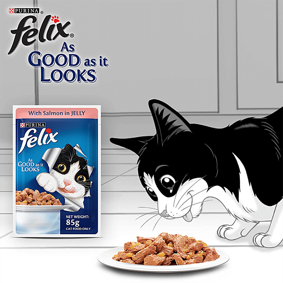Purina Felix Le Ghiottonerie Cat Food with Salmon and Tuna, 48 Sachets of  85 g Each : : Pet Supplies