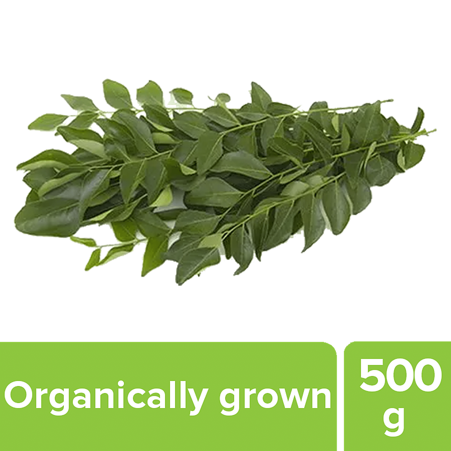 Buy Fresho Curry Leaves Organically Grown 100 Gm Online at the