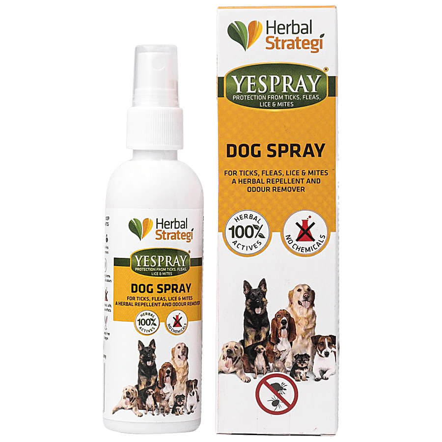 Dog Natural Anti-Mites Spray Treatment