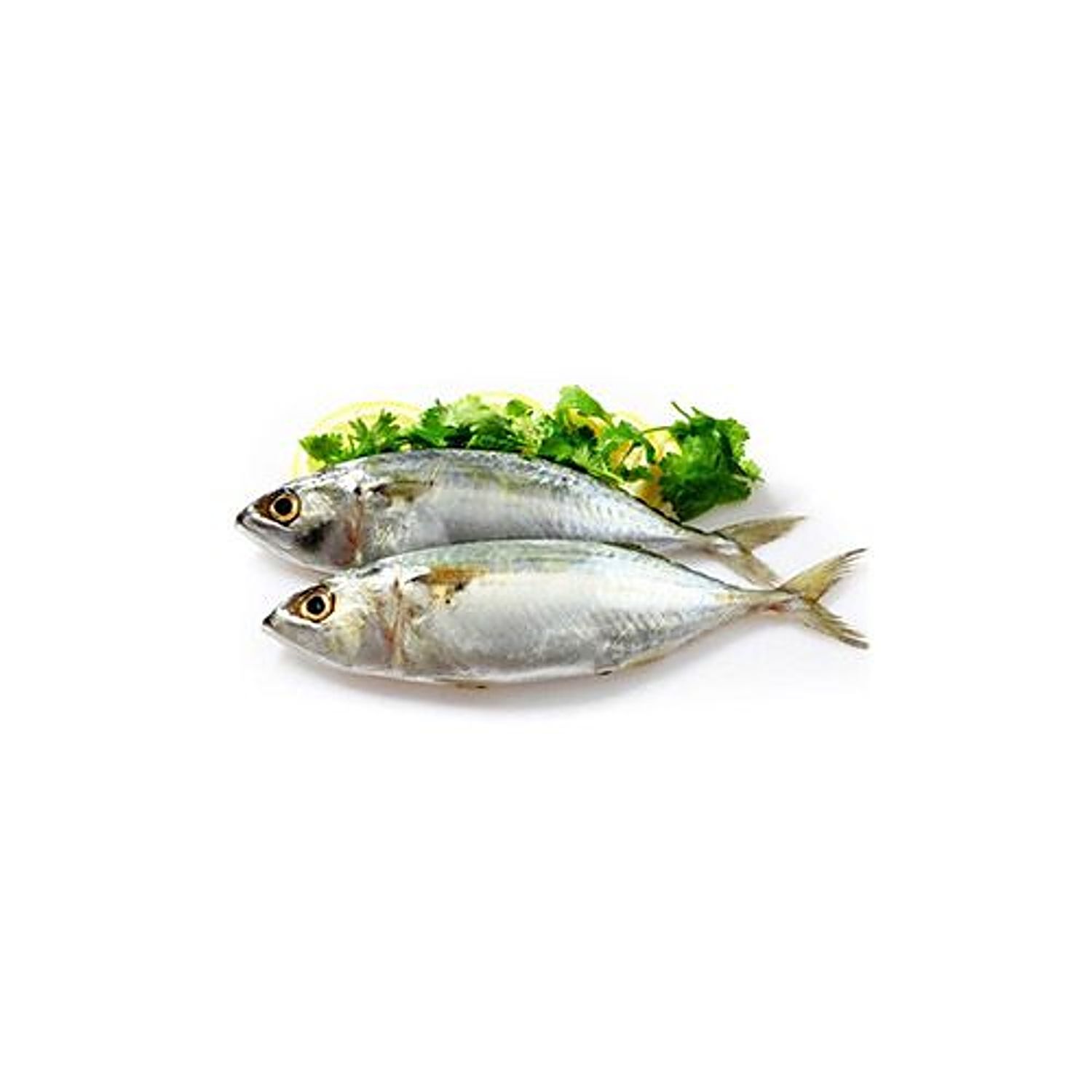 Buy Pesca Fresh Fish Indian Mackerel Bangda 500 Gm Online at the Best Price  of Rs null - bigbasket