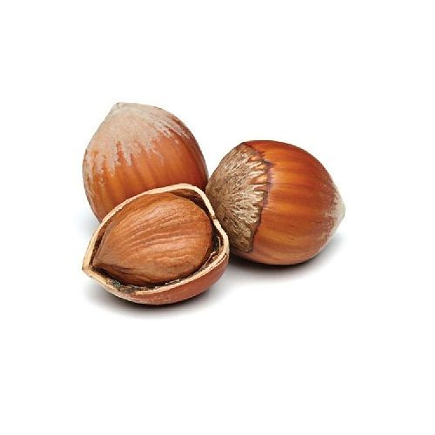 Buy Gold Coin Dry Fruits Hazel Nut 250 Gm Online at the Best Price