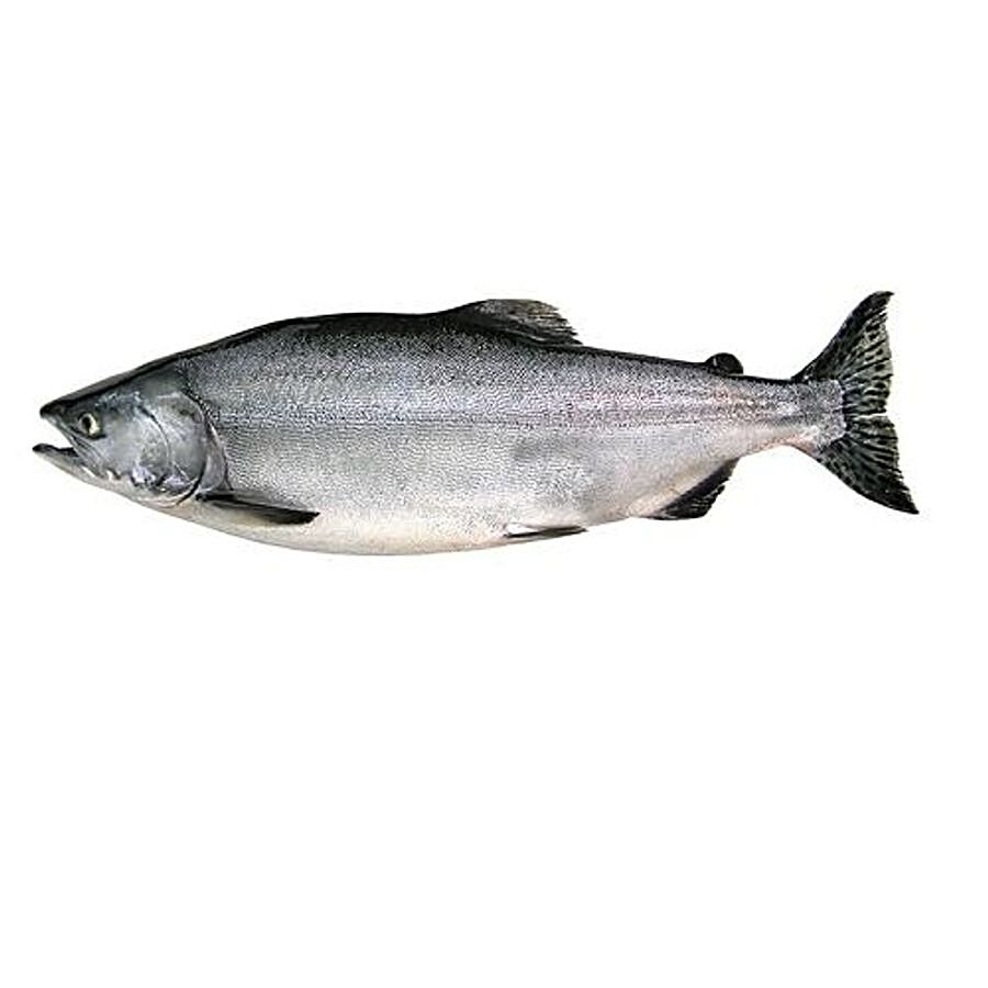 https://www.bigbasket.com/media/uploads/p/xxl/800291692_1-fresh-catch-fish-indian-salmon-medium-fresh-catch.jpg